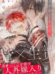 overlord漫画 不死者之王